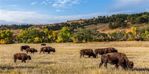 north dakota oversize permit regulations.